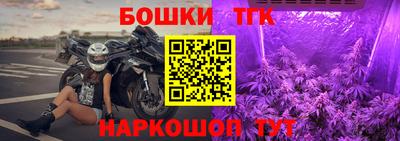 тгк Можга