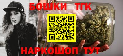 тгк Можга