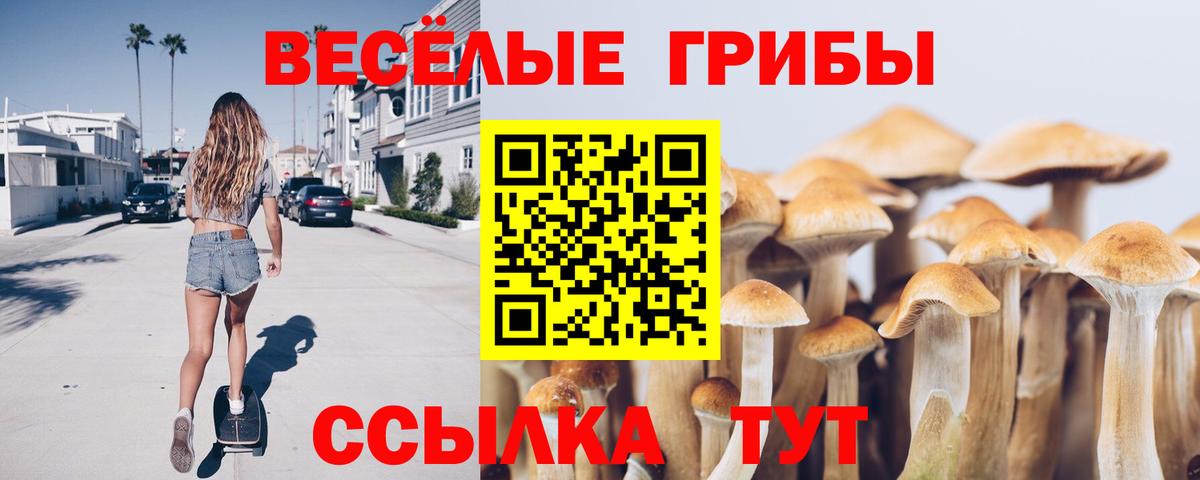 Семёнов  как найти закладки  Вход с VPN  Псилоцибиновые грибы Psilocybe 